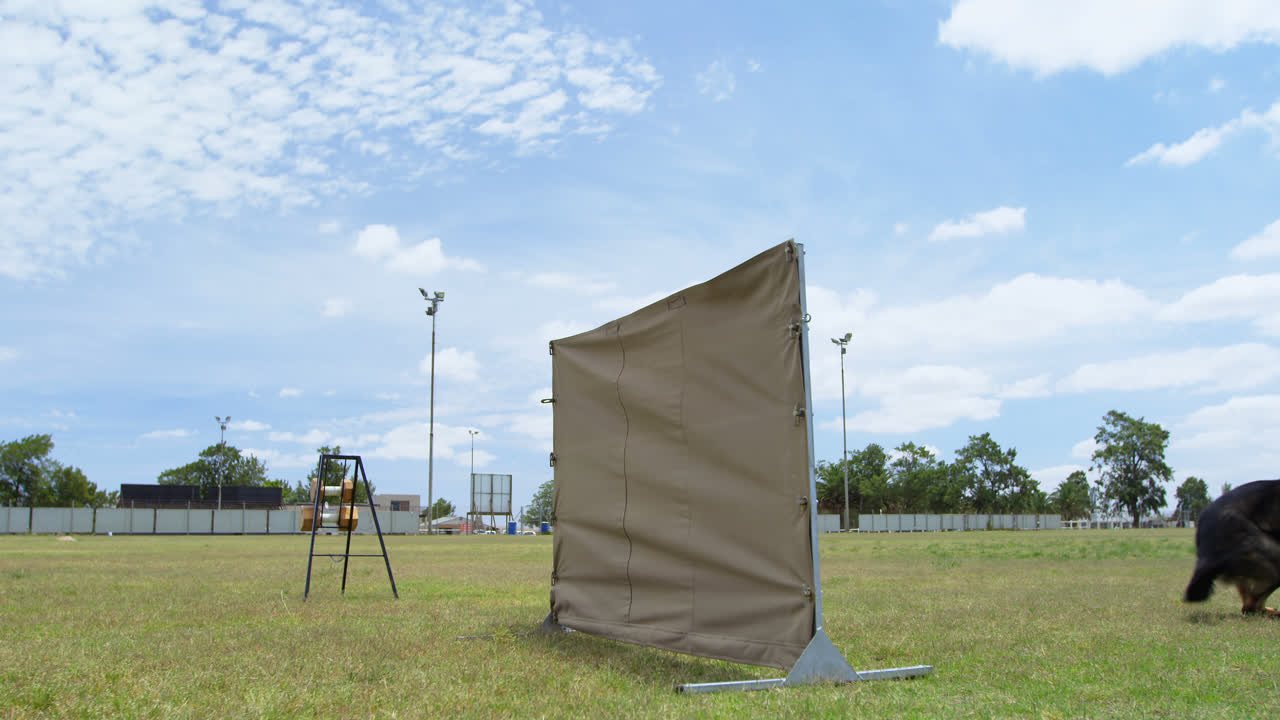독일 셰퍼드 (german shepherd) 가 장애물을 뛰어넘는 4k