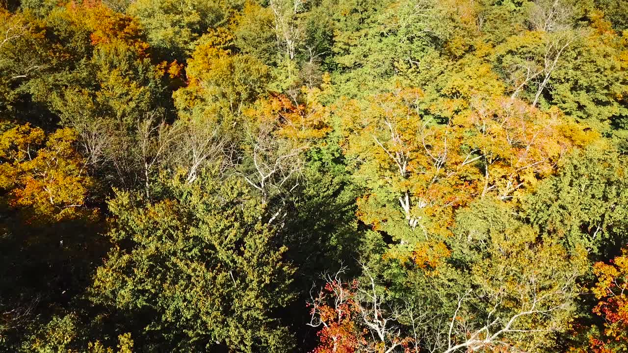 New Hampshire ormanları ve Beyaz Dağlar üzerinde, uzakta Washington Dağı ile bir havadan çekim 2