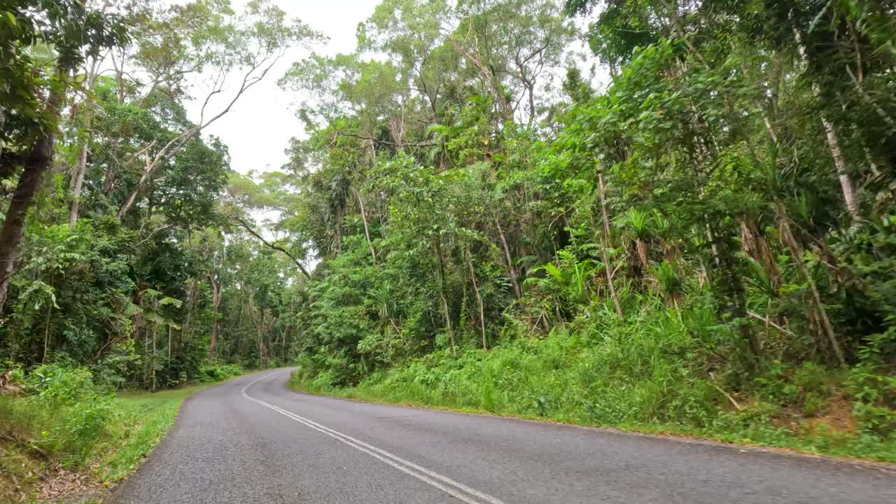 A serene drive along a winding road through dense, vibrant rainforest in Port Douglas, Queensland. Natural lighting enhances the lush greenery