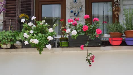 charming balcony with colorful flowers and plants