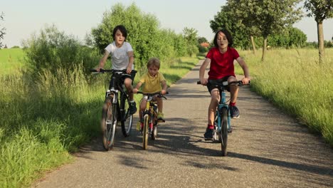 niños lindos y felices, hermanos, montando bicicletas en el parque en un soleado día de verano, hablando y riendo
