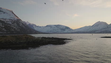 rugged arctic islands, seabirds flying around with snowy mountains