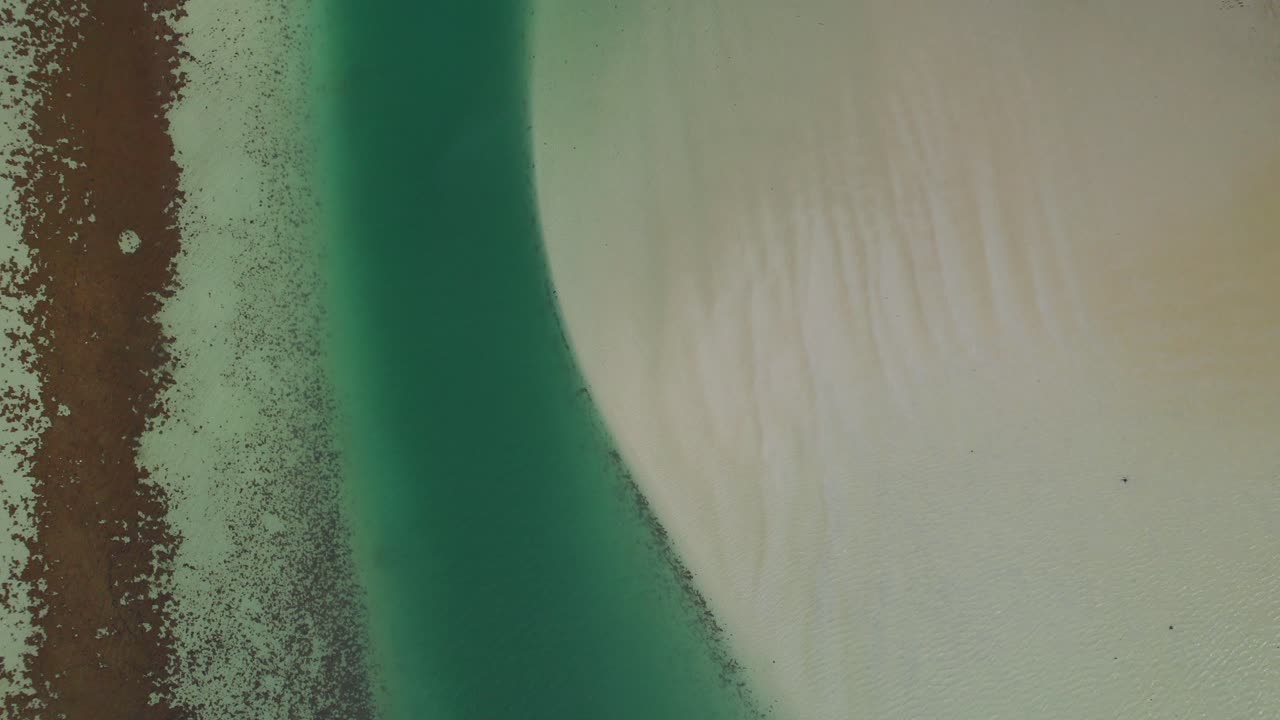 남아프리카 공화국 서부 해안 국립 공원 에 있는 랑게바안 호수 (langebaan lagoon) 에 있는 상어 만 (shark bay)