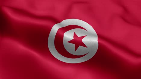 waving loop 4k national flag of tunisia