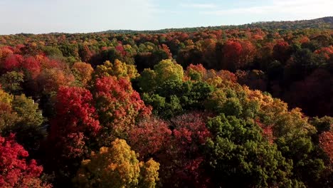 fall mountain colorful trees scene drone shot