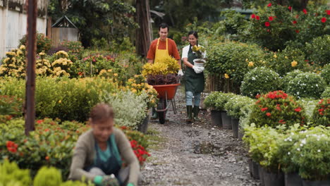 jardineros que trabajan al aire libre