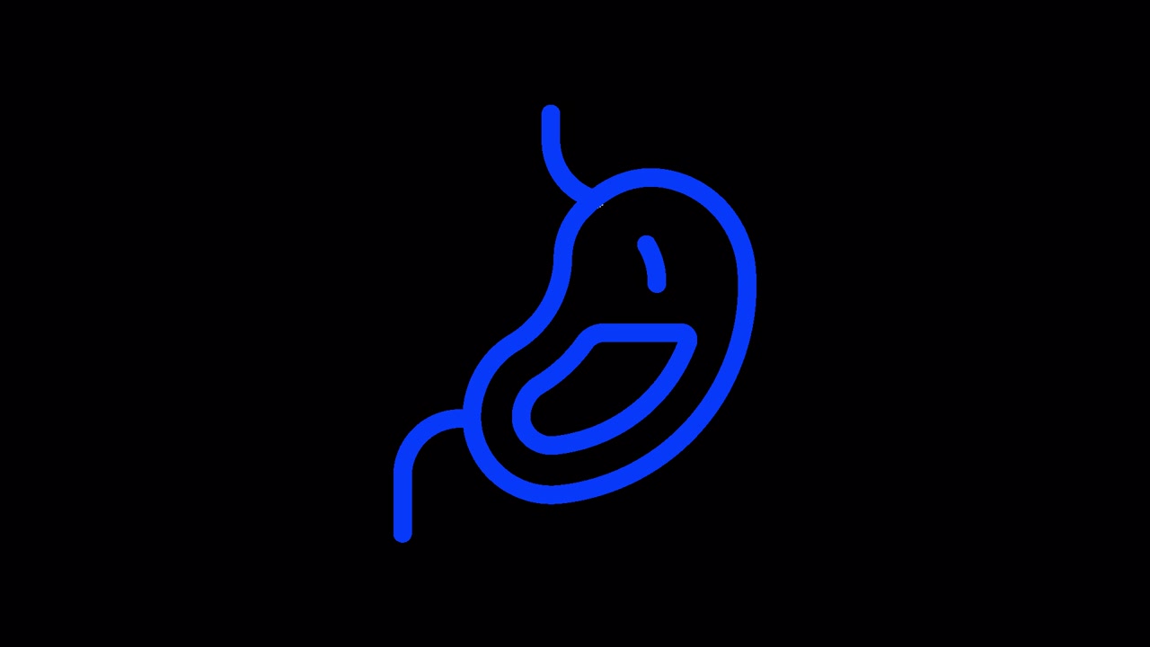 Animated Blue Line Art Icon of Human Stomach Digestion