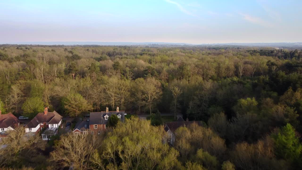 Drone shot flying and rising fast over trees in a forest in English countryside