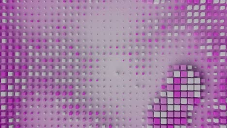 pink cubic array is pulsating on a plane seamless loop 3d render animation