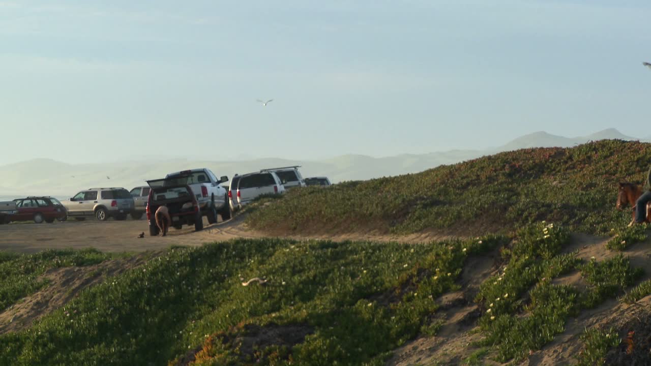 la gente monta a caballo a lo largo de una ladera en el centro de california