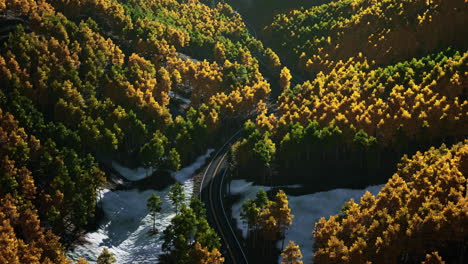 scenic drive through a forest in autumn