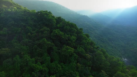 rayos de luz sobre la ladera verde