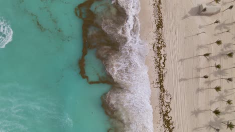 waves breaking on cancun tropical sandy beach