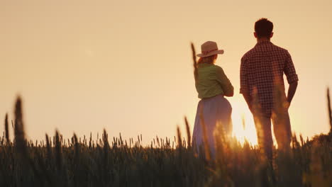 two farmers man and woman standing in a wheat field watching the sunset lower view angle 4k video