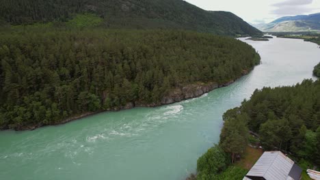 ノルウェーの森の緑の川