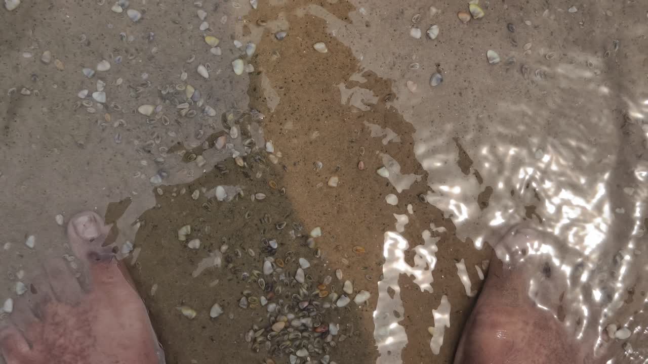 Vista dall'alto dei piedi di una persona immersi in acqua limpida e poco profonda su una spiaggia sabbiosa con piccole conchiglie. Utile per temi di viaggio, relax e vacanze estive