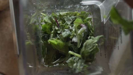 slow motion close up, adding kale leaves to water in a blender