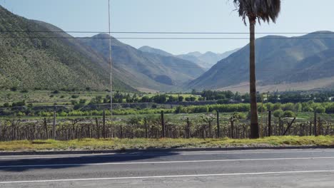 Weinberg-Des-Elqui-Tals-Mit-Blick-Auf-Die-Anden-Bergkette-Entlang-Der-Straße-In-Der-Region-Coquimbo,-Chile