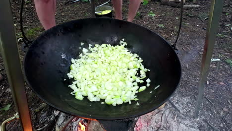 outdoor campfire cooking as veggies sizzle in hanging pot over firewood