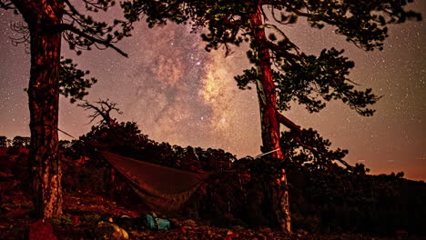 Timelapse-De-Una-Hamaca-Balanceándose-Entre-árboles-Bajo-Un-Dosel-De-Cielos-Estrellados-De-Color-Púrpura