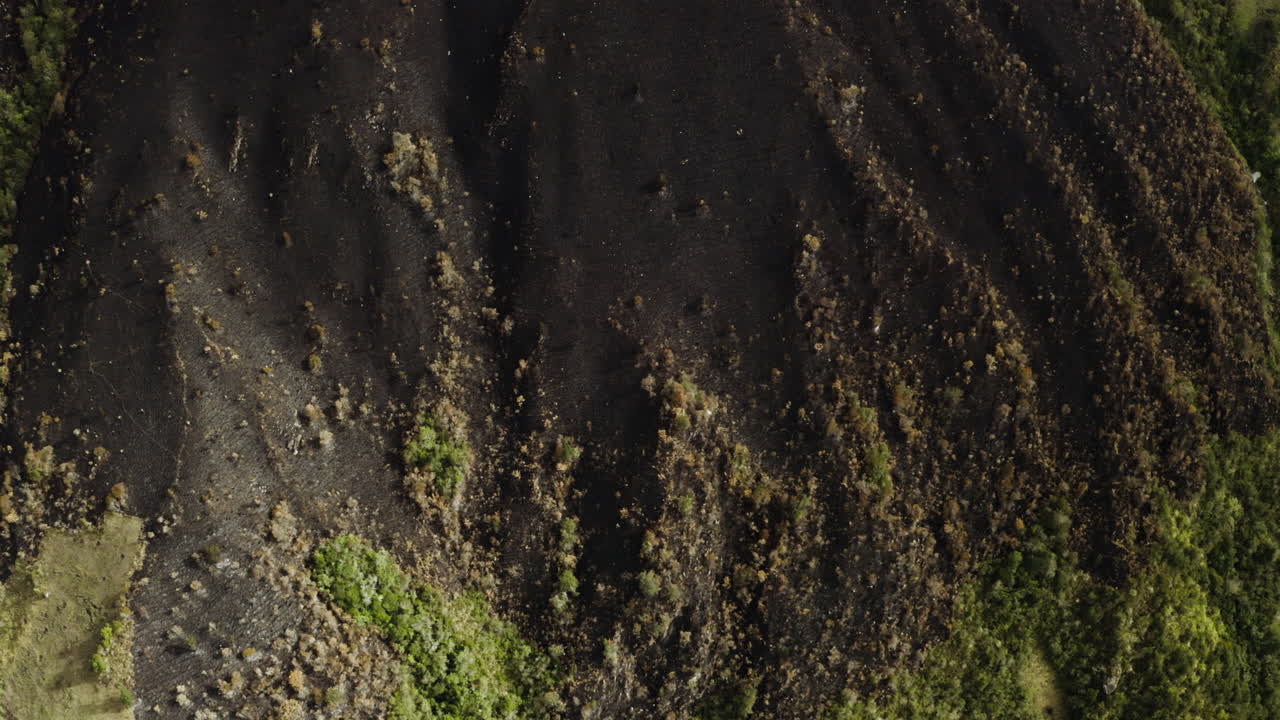 Aerial view, destruction by forest fire, El Cajas National Park, Cuenca Ecuador.