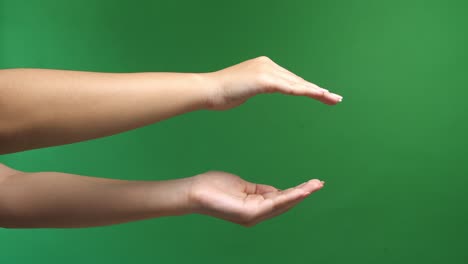 women's graceful hands. hand over hand present your product