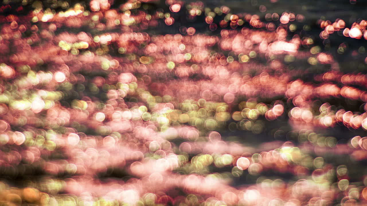 에스 트렌스 비치 14