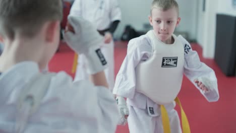 young martial artists in white gi and yellow belts practicing kudo techniques with focus and determination