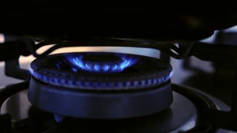 blue gas stove close-up