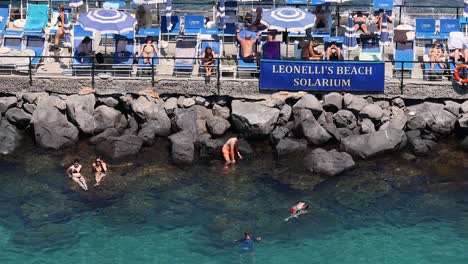 people swimming near rocky shore in sorrento