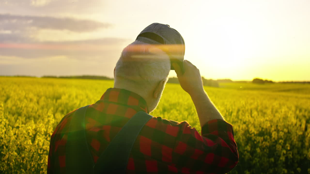 Oudere boer staand in een geel koolzaadveld bij zonsondergang