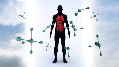 Animation-of-falling-molecules-over-human-body-model