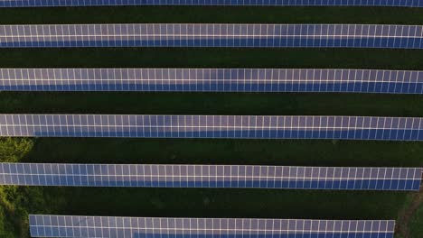 top down aerial of large photovoltaic solar panel farm, golden hour, rising