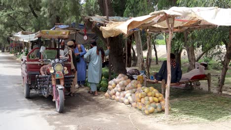 the melon business in a rural place