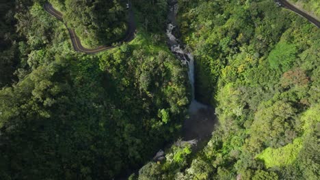 lush greenery and waterfall along the road to hana in maui, hawaii, aerial view