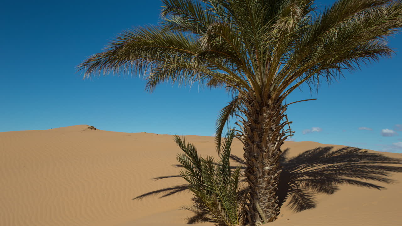 Deserto de Merzouga 03