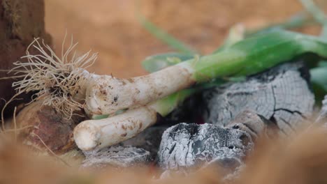 Calcots-Frühlingszwiebeln-Auf-Einem-Holzfeuer-Im-Freien-Rösten,-Nahaufnahme-Slowmo