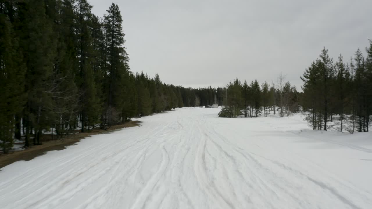 Flying through tall pine trees and a snow covered country road southern Alberta Canada, Aerial first person FPV