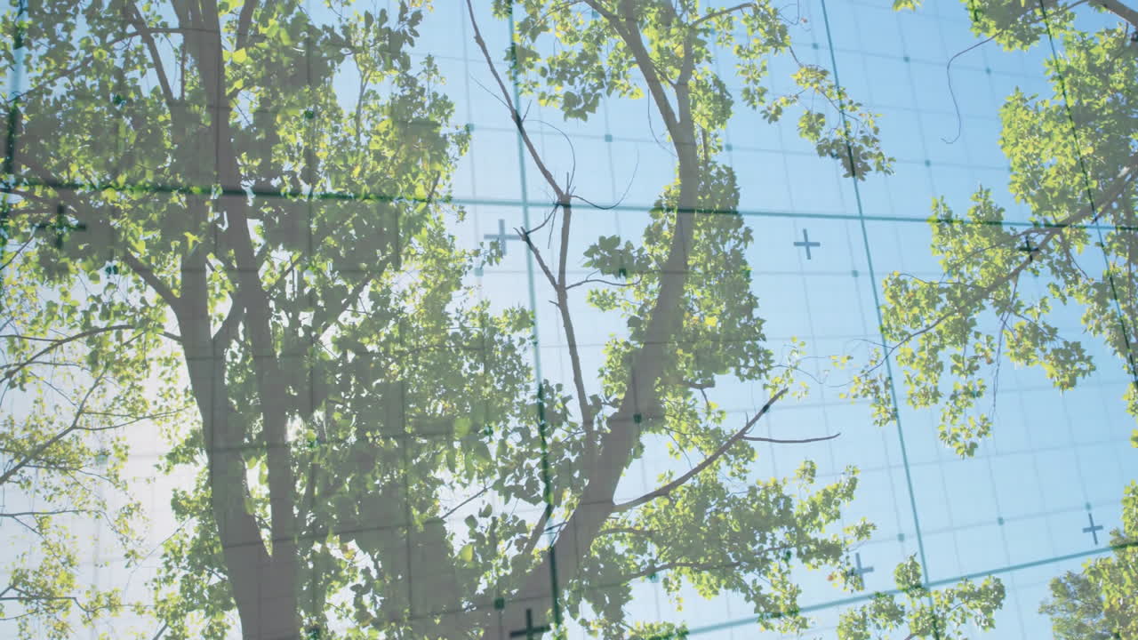 Tree trunk standing outdoors, showing animated grid nodes mapping foliage for technology demo