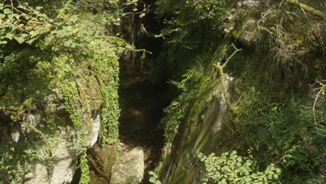 Natural-river-below-green-alpine-cliff-environmental-Gorges-Du-Sierroz-France