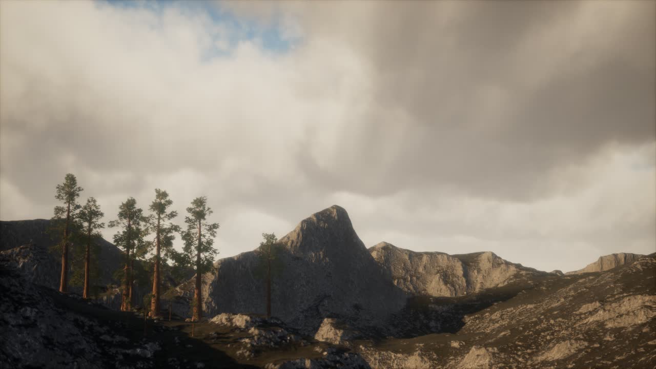 acantilado con árboles y la luz del sol