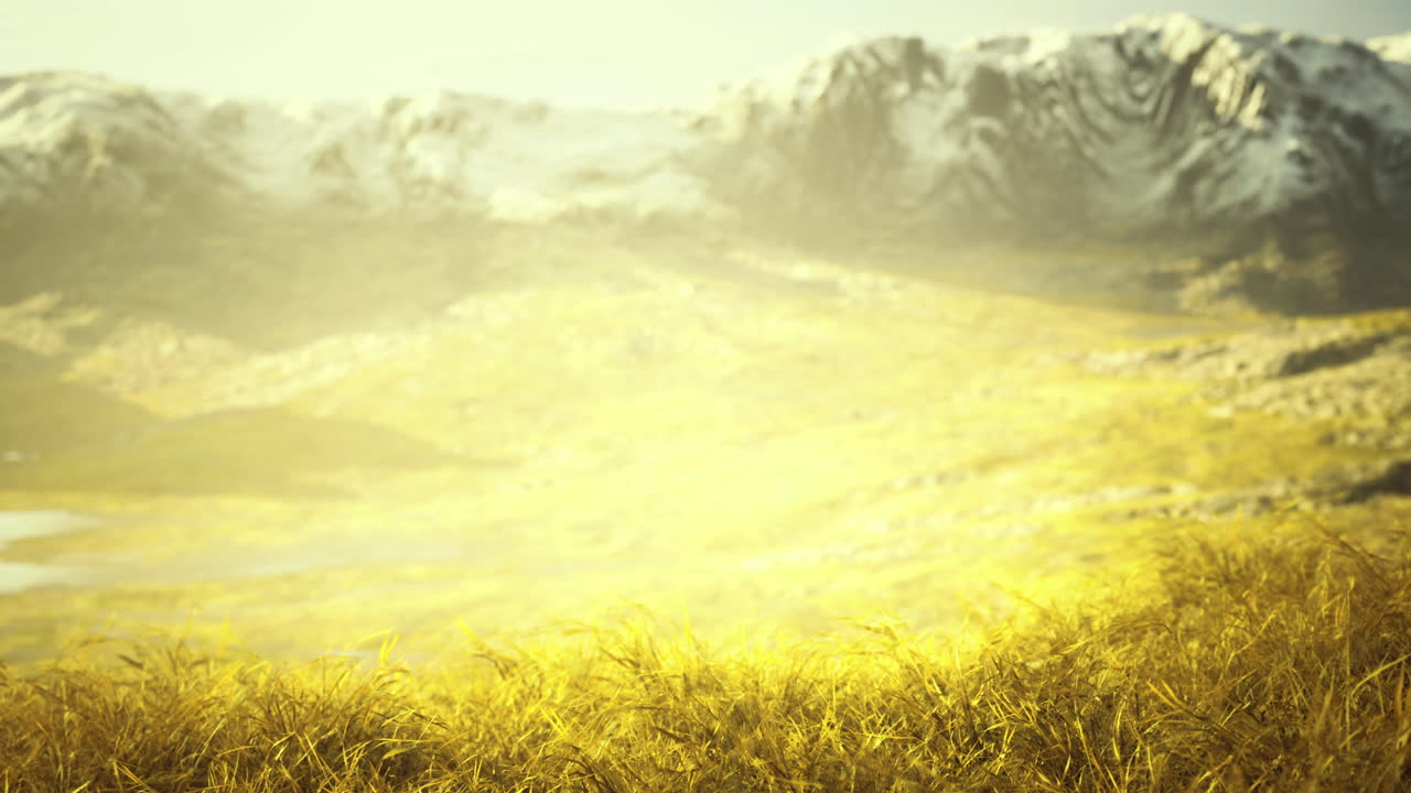 Golden grasses sway gently in the warm sun of a mountain landscape
