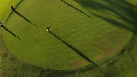 two diverse male golf players playing golf at golf course on sunny day