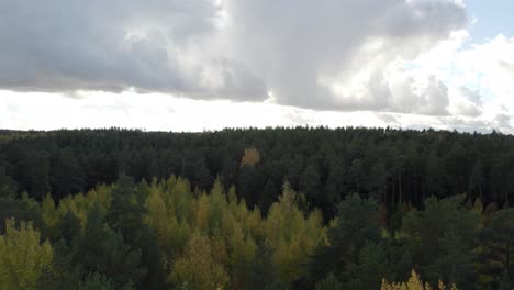 Raising-drone-shot-of-revealing-massive-forest-line-as-far-as-you-can-see