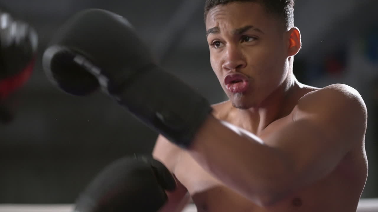 권투 훈련 세션