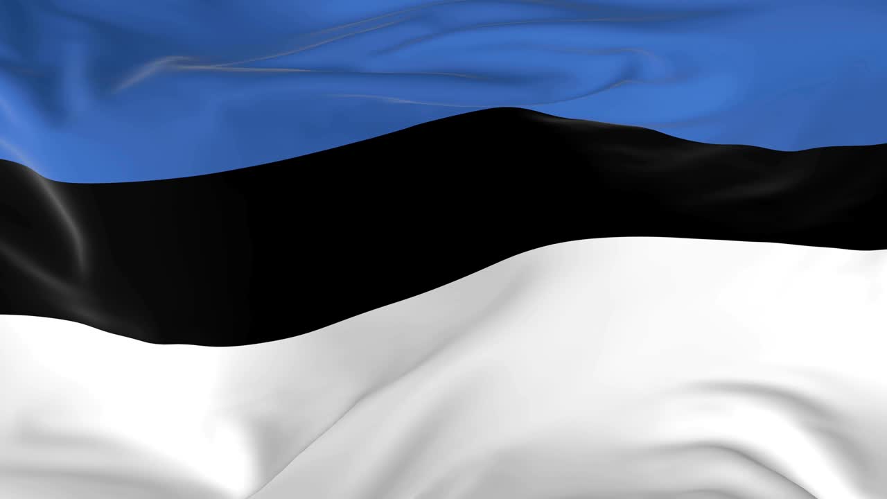 배경으로 루프 발을 흔들고 있는 에스토니아