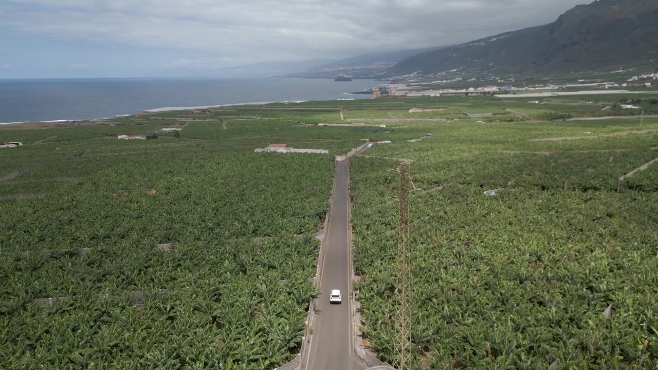 Auto che percorre una strada rurale attraverso piantagioni di banane con vista sull'oceano e sulle montagne.
