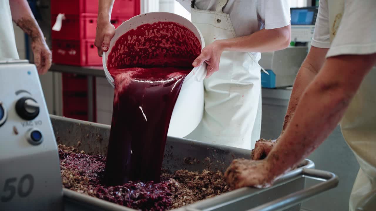 Worker Pouring Blood From White Bucket Onto Mince Meat Preparing To Make Bratwurst Sausage