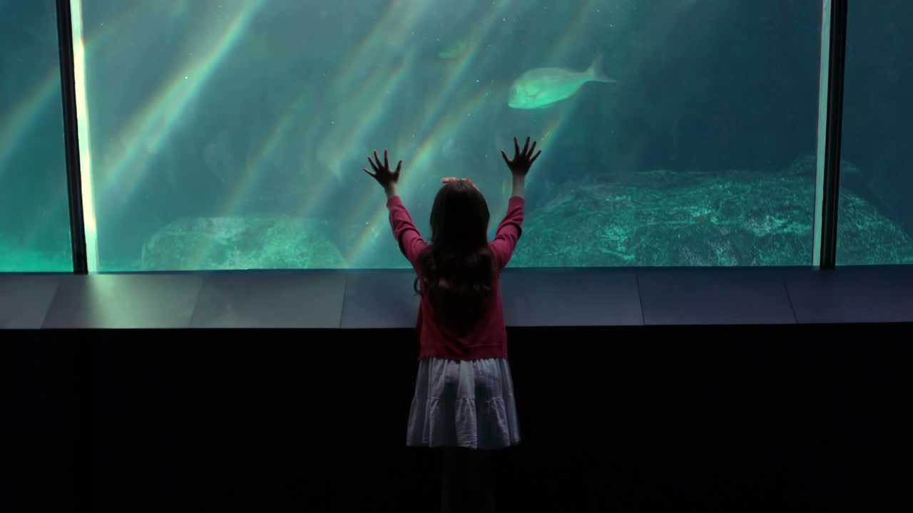 Little girl looking at fish in tank
