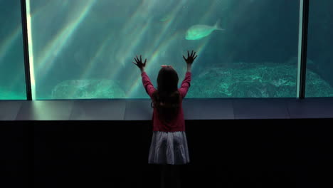 little girl looking at fish in tank